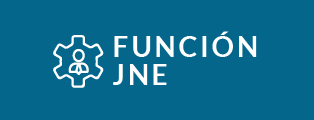 Funciones JNE