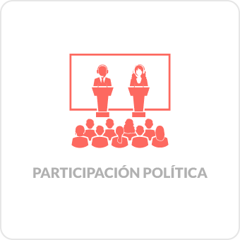 Participacion politica
